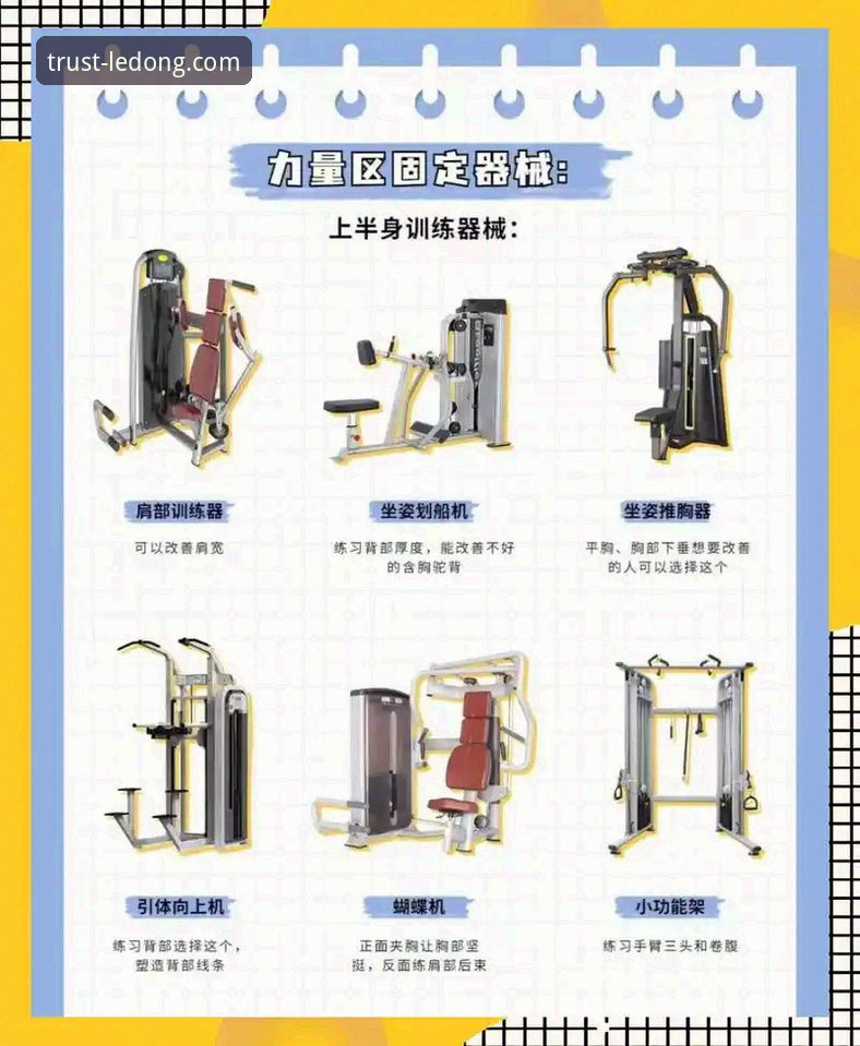 乐动体育Ledong 乐动体育平台实用入门指南:从注册到深度使用的必备知识