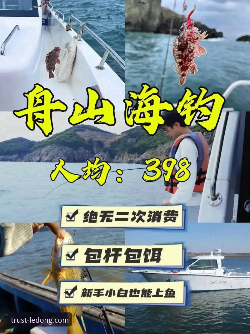 乐动体育便捷体验评测 乐动体育平台新手完整指南:从下载到玩转的便捷体验评测